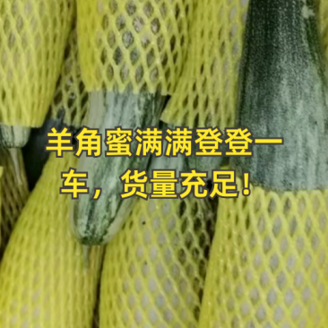山东头茬羊角蜜流量大，脆甜好吃对接全平台代发已开始