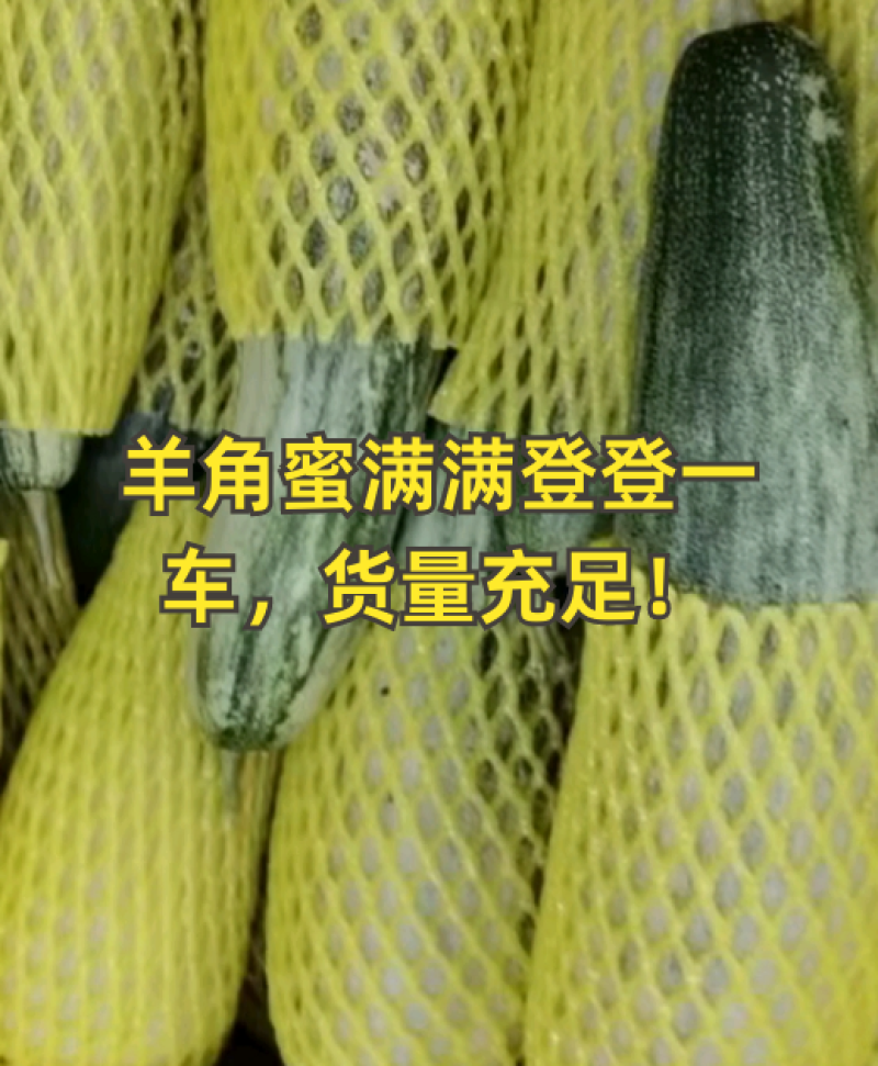 山东头茬羊角蜜流量大，脆甜好吃对接全平台代发已开始
