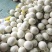 【推荐】山东玉菇甜瓜供应市场商超一手货源保质保量