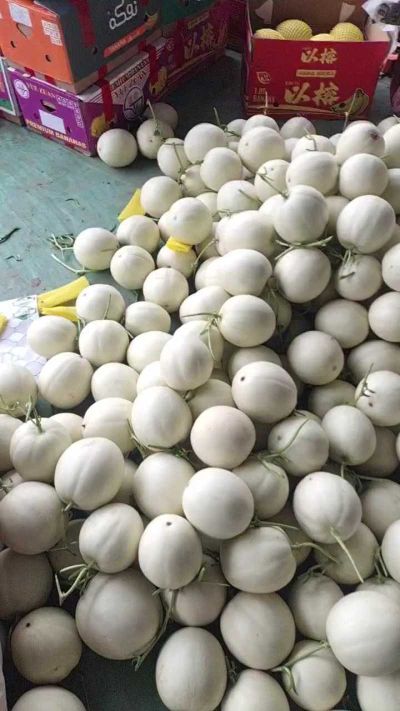 【推荐】山东玉菇甜瓜供应市场商超一手货源保质保量