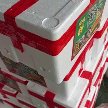 莘县博洋甜瓜瓜形好卖相好各种熟度按需分拣各种包装有场地工人