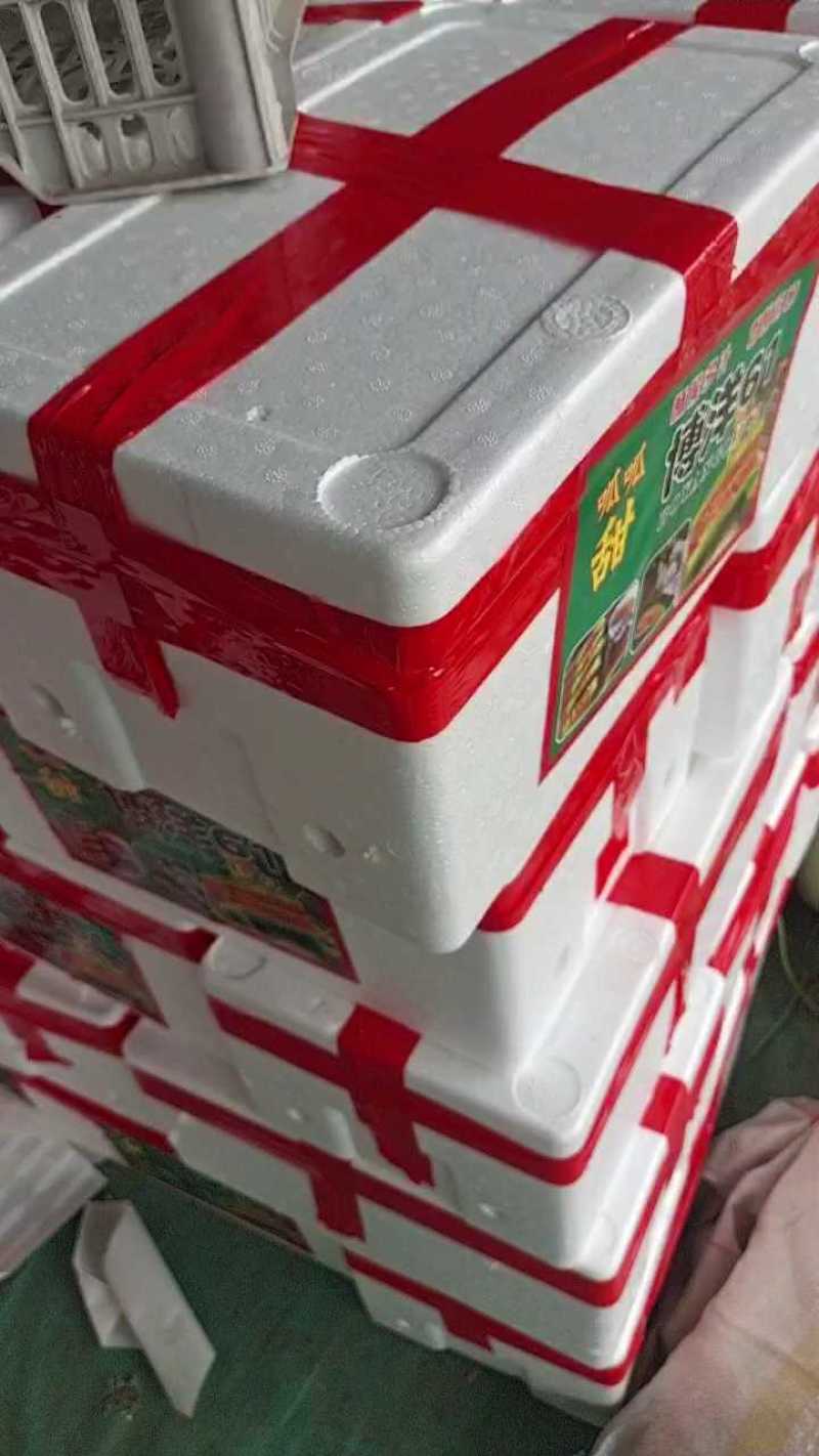 莘县博洋甜瓜瓜形好卖相好各种熟度按需分拣各种包装有场地工人