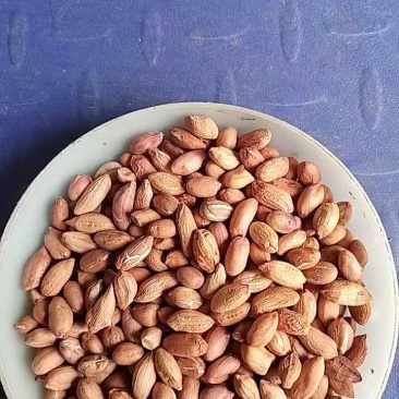 2025年海花花生米规格7-8对接商超电商食堂学校工厂，
