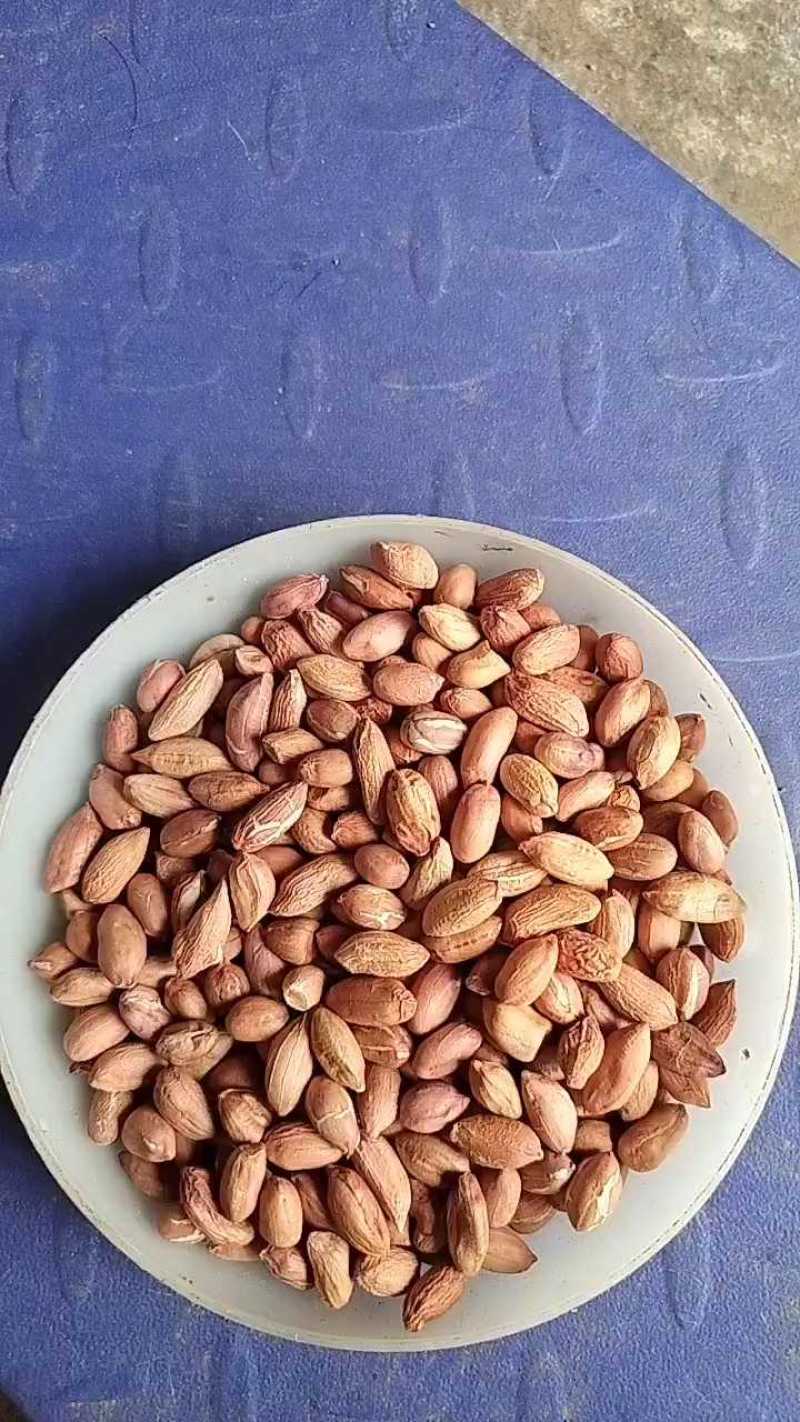 2025年海花花生米规格7-8对接商超电商食堂学校工厂，