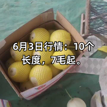 玉菇冰淇淋甜瓜等各个品种大量上市欢小工包装一条龙服务欢迎