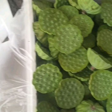 新鲜清甜脆甜水果莲蓬，每天现摘水果莲蓬产地直发。