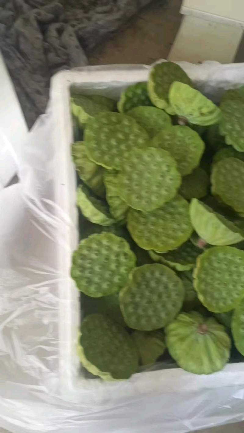 新鲜清甜脆甜水果莲蓬，每天现摘水果莲蓬产地直发。
