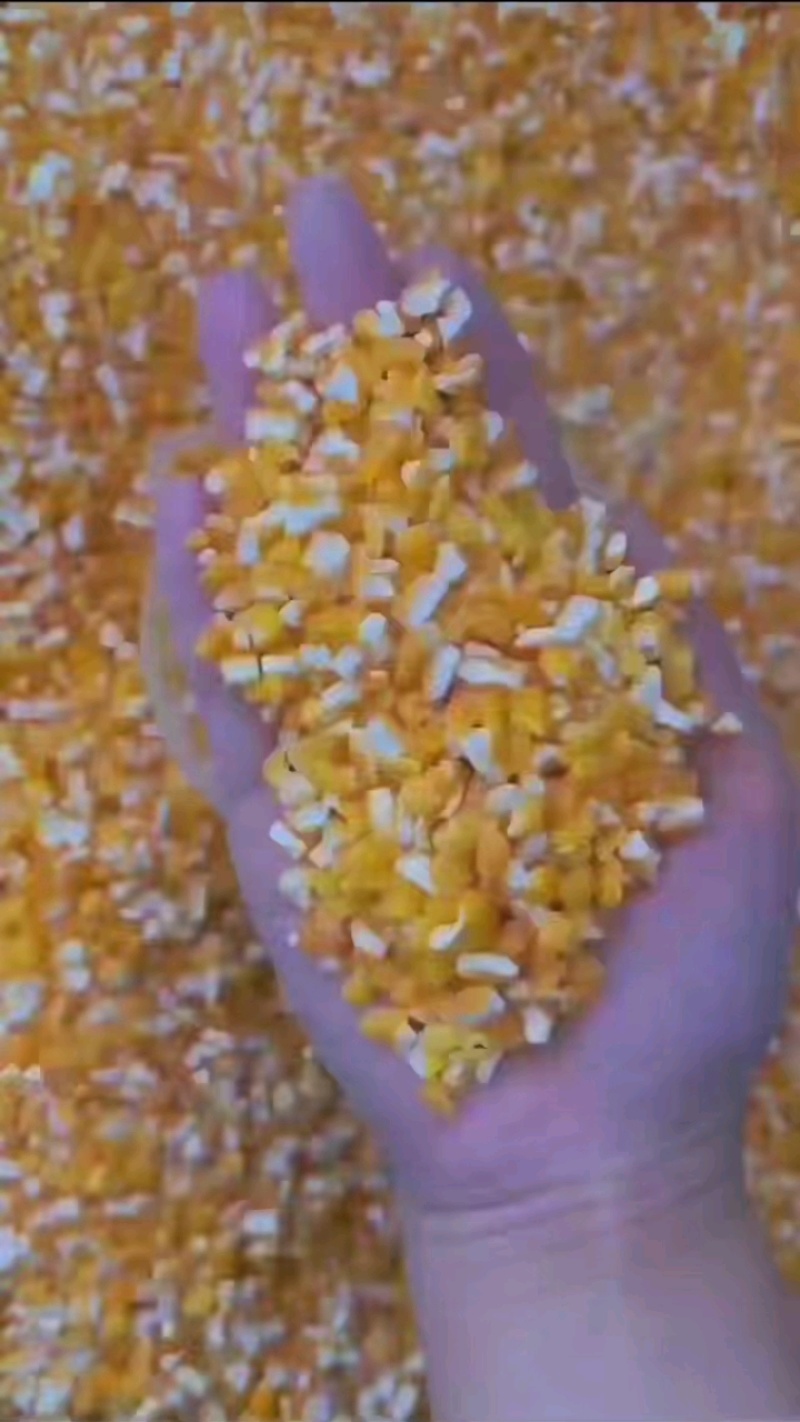 碎玉米