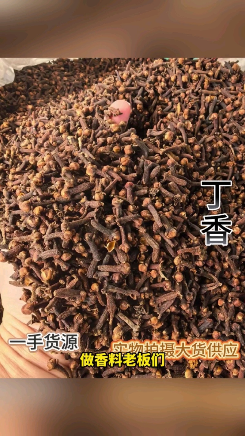 丁香广西特级公丁香丁香香料大红丁香广西香料雄丁香钓鱼公丁