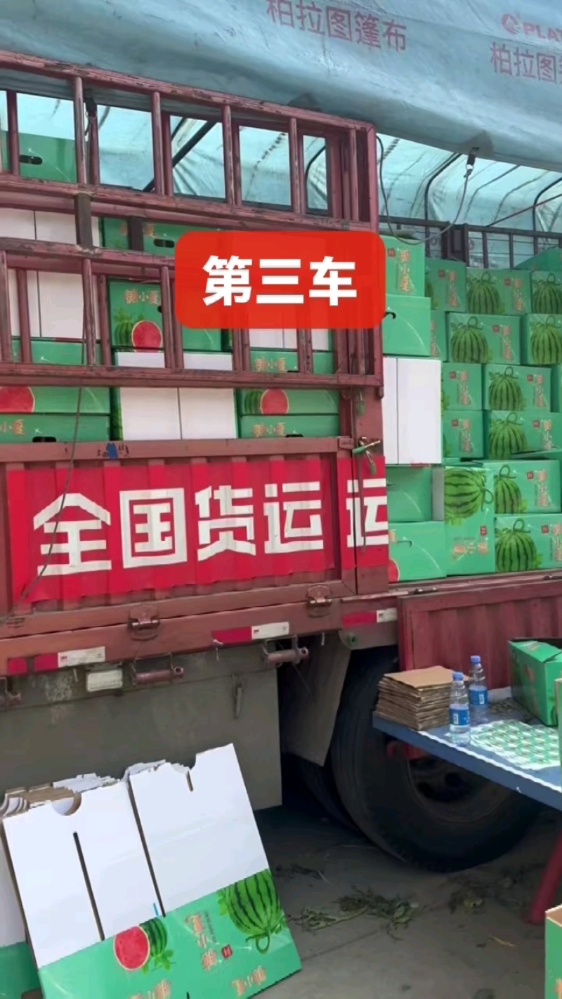 『无籽西瓜』安徽砀山万亩基地直供/包熟包甜/全国发货