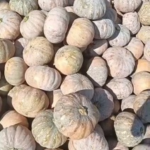 湖北万亩南瓜种植基地出售各类品种南瓜，有需要的朋友联系我
