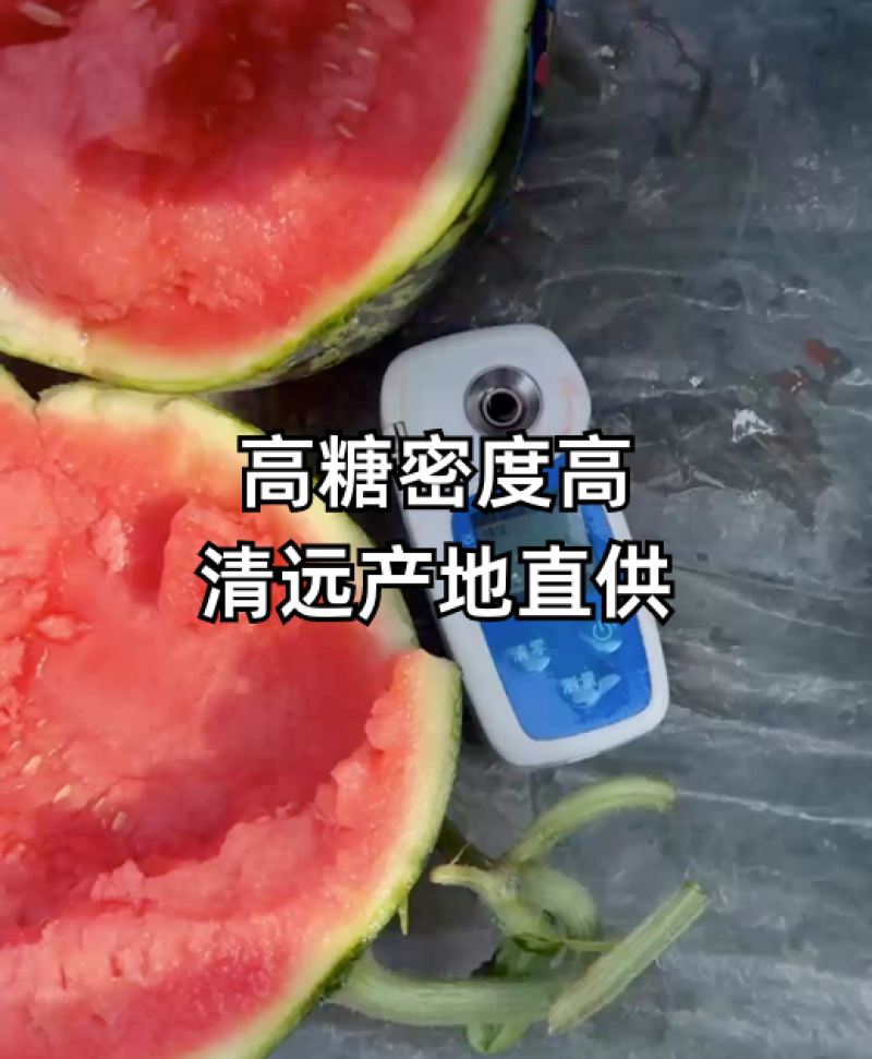《甘美4K》陕西西瓜/大棚种植/糖度14/全国发货