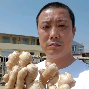 山东优质水洗大黄姜产区价格便宜，支持全国发货。