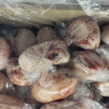 羊宝，羊蛋，一斤3个左右，品质保证，全国发货