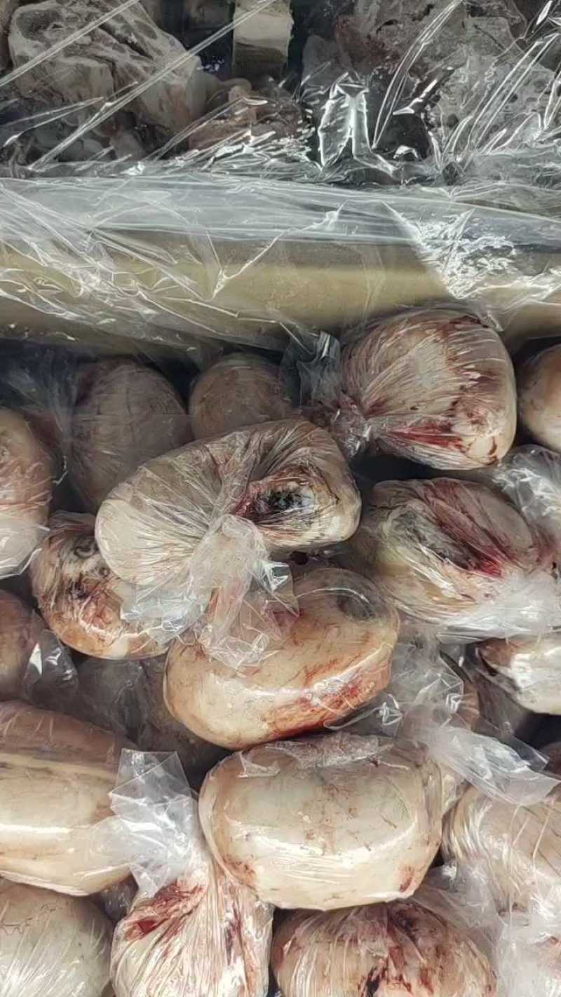 羊宝，羊蛋，一斤3个左右，品质保证，全国发货