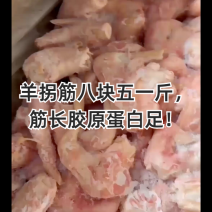 羊拐筋筋长