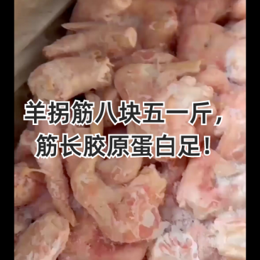 羊拐筋筋长