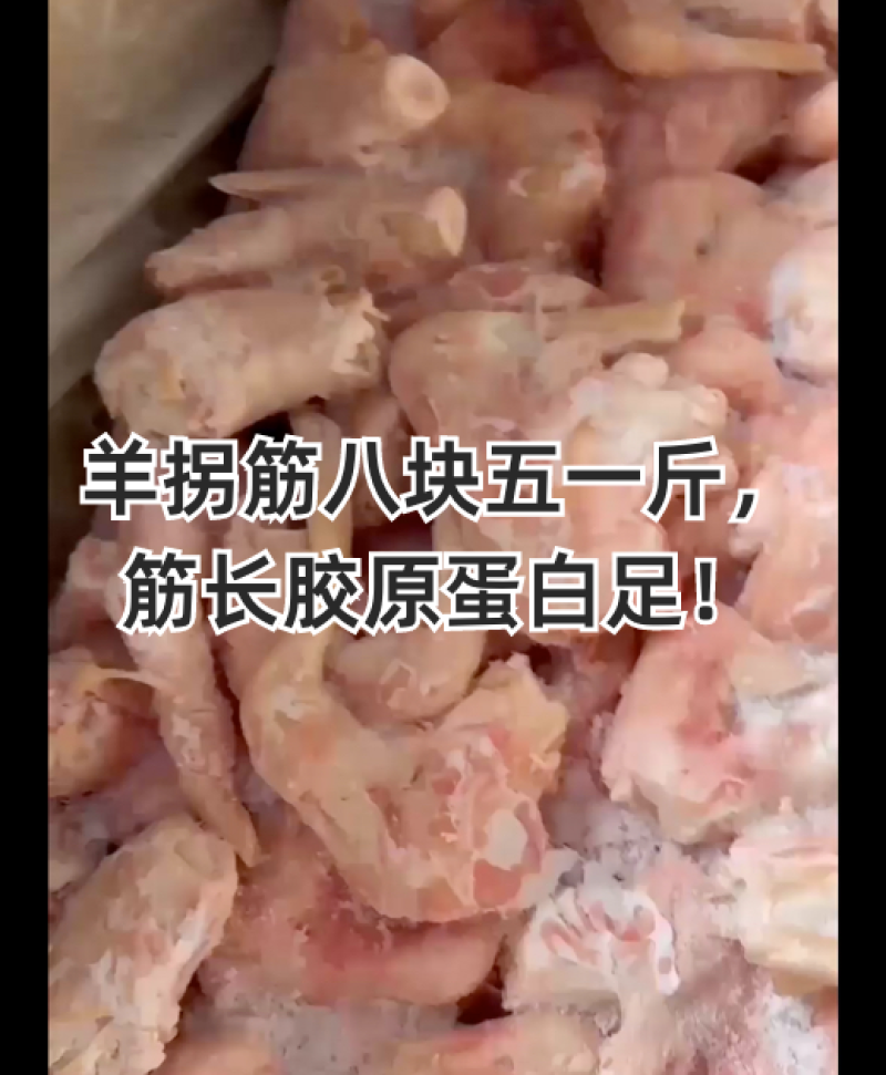 羊拐筋筋长