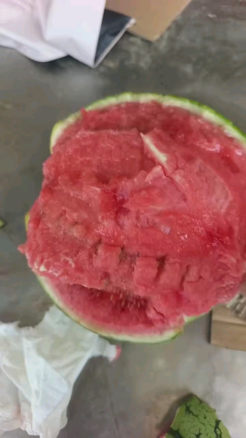 早春红玉小糖丸大量上市，物优价美欢迎采购