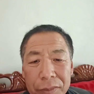 红薯粉条手工粉条，没有胶，试吃产品包邮