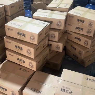 端午精品礼盒熟海鸭蛋真空包装代发批量价格新鲜