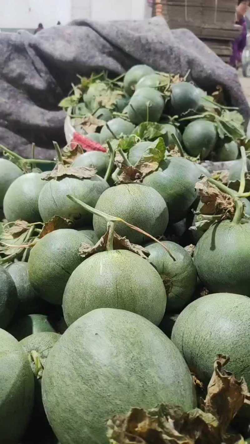 绿宝石【原产地】供应电商，市场，超市货源充足，货量大！！
