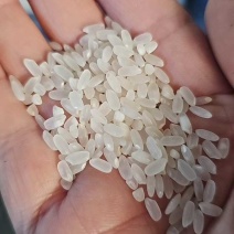 精品大米10斤装