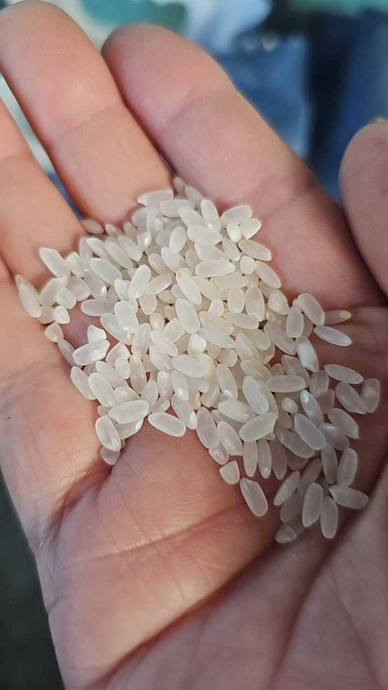 精品大米10斤装