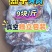 【熟牛头肉】带皮牛头肉