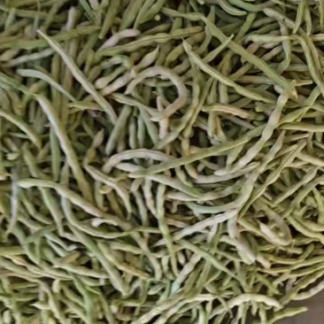 汉中精品白不老四季豆，产地直发，一条龙服务