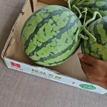 美都嘉年华，京欣，，8424黑子，无子产地直供，一手货源
