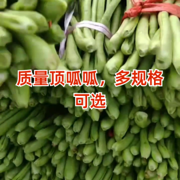 质量顶呱呱，多规格可选
