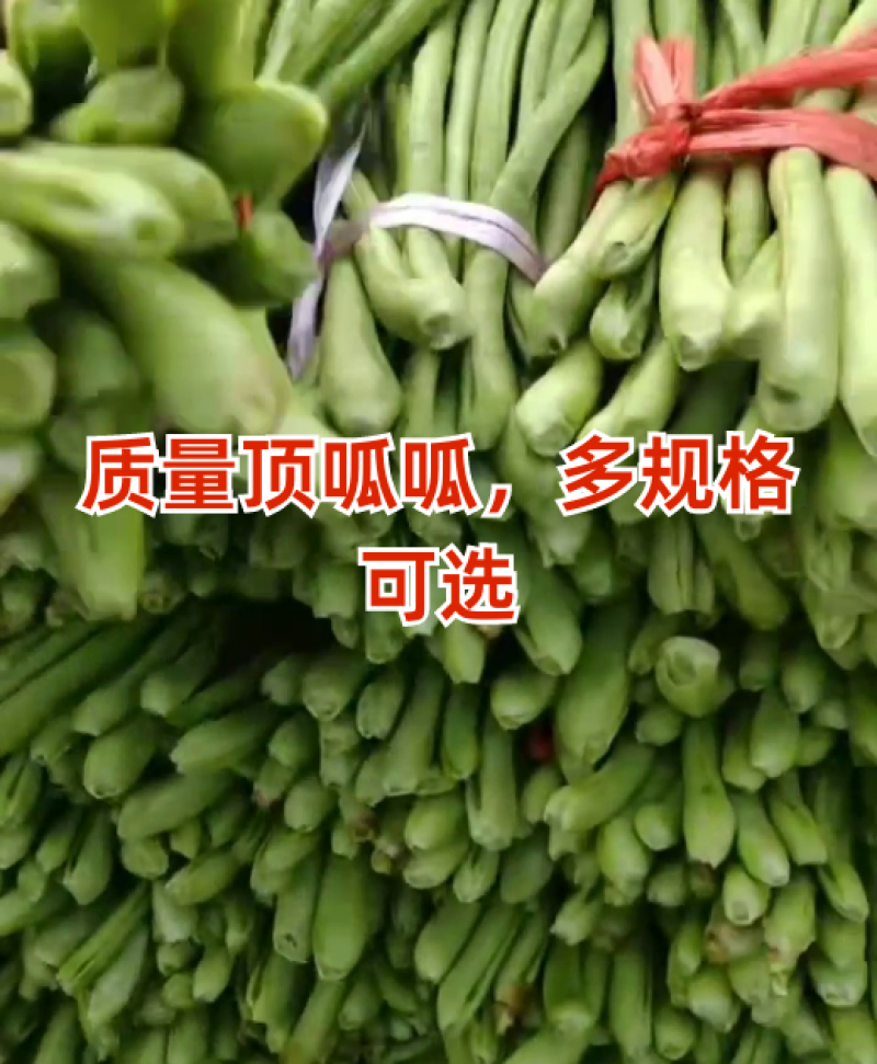 质量顶呱呱，多规格可选