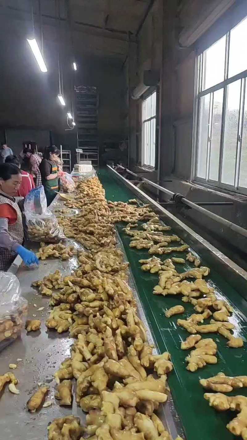 生姜，产地直发，电商，市场，超市，代存，代收，一手货源