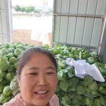 六月5号甘蓝收购价3毛，质量还可以！