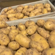 黄皮黄心土豆，产地直发，价格便宜，质量保证，支持全国发货