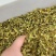 仿野生种植，皮石斛切片，泡水紫红色，满满的花青素