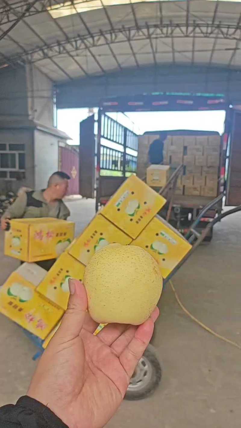 过手收购42精品皇冠梨，超低价处理，有需要的不要错过
