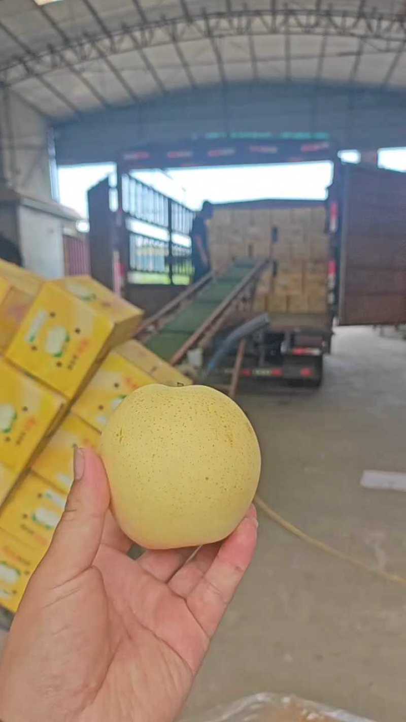 过手收购42精品皇冠梨，超低价处理，有需要的不要错过