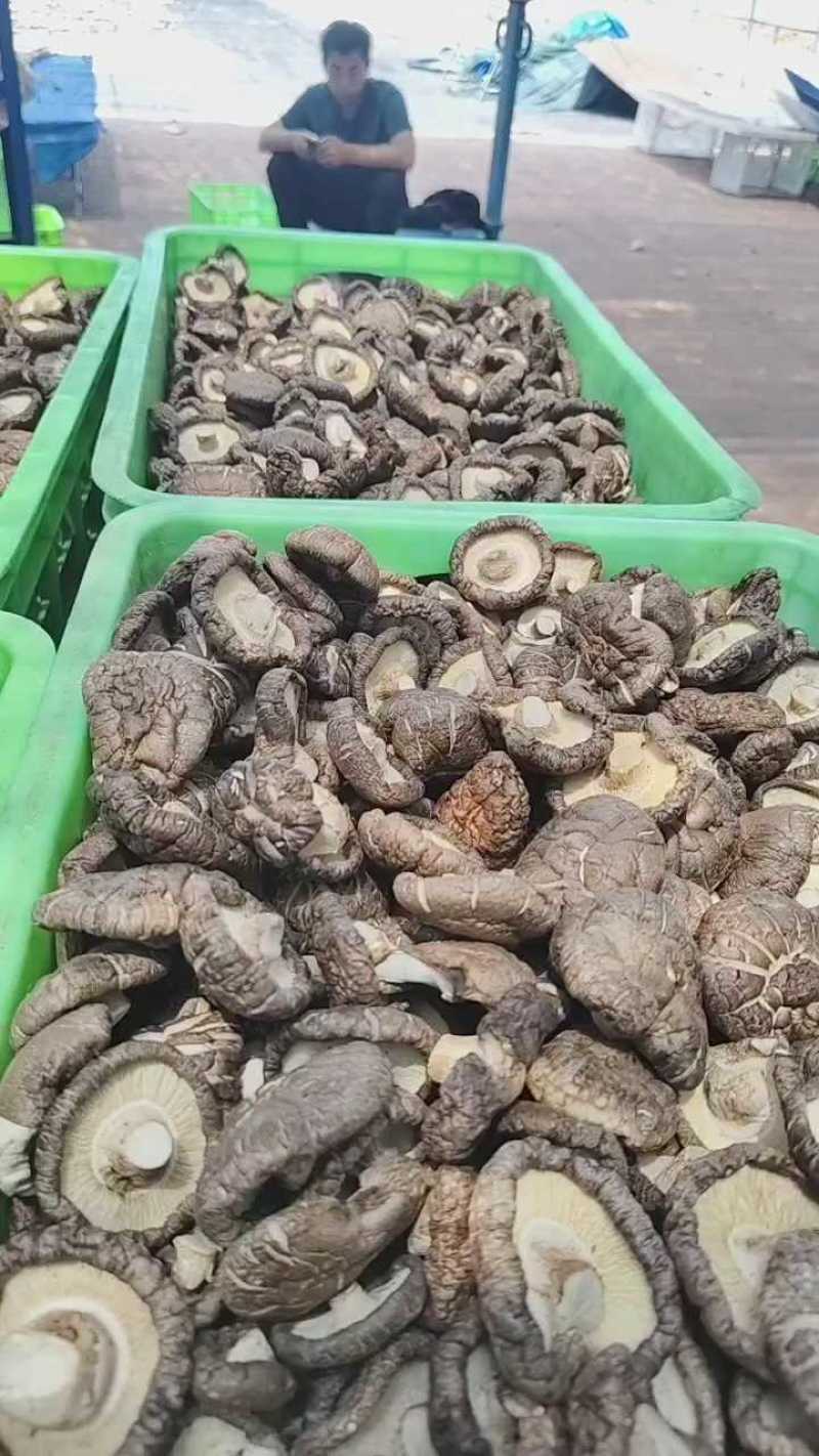 干香菇，河北平泉，货量大，价格优，视频看货，欢迎咨询