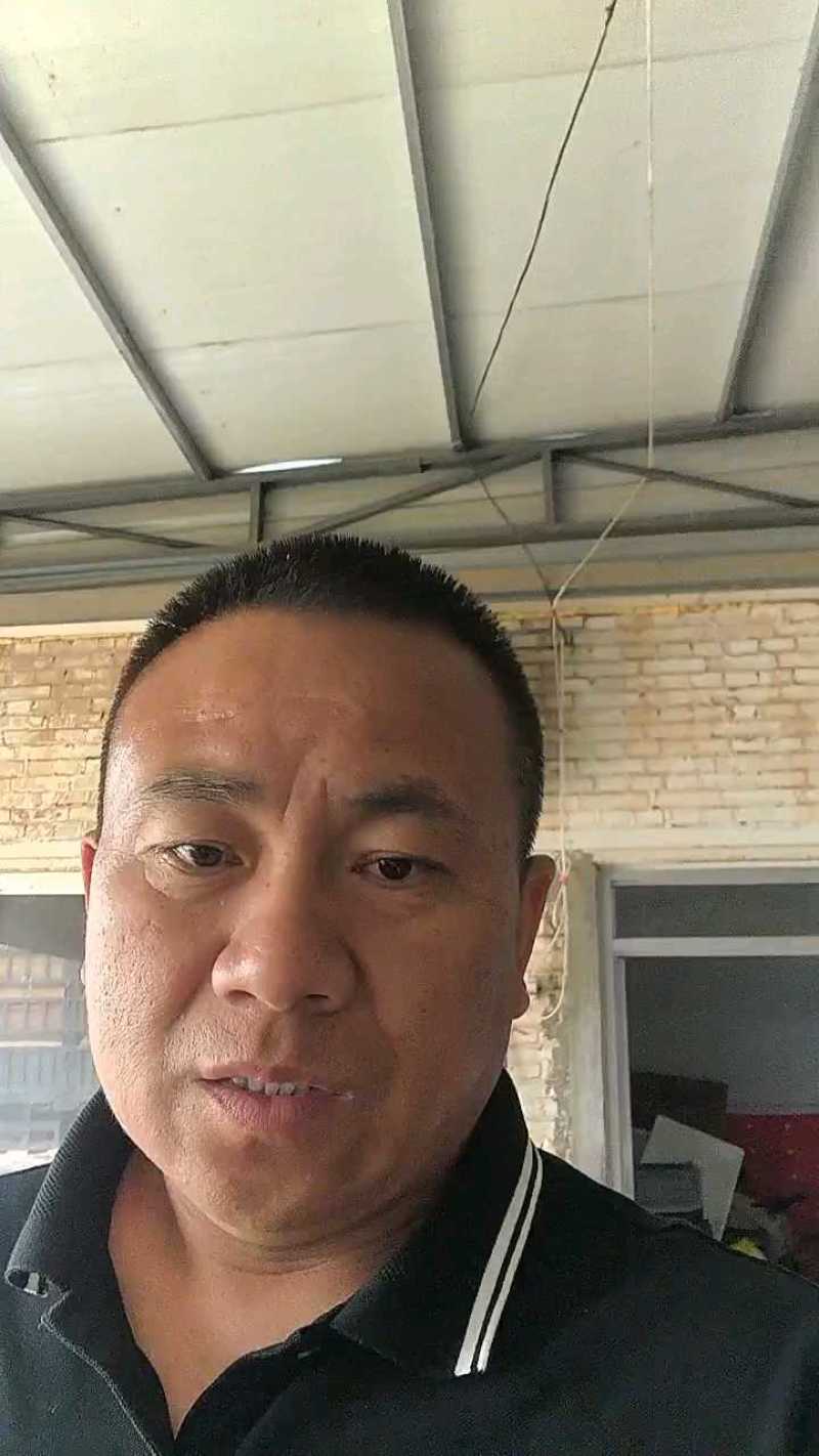 杏，凯特杏，河北大甜杏大量上市，凯特杏，麦黄杏