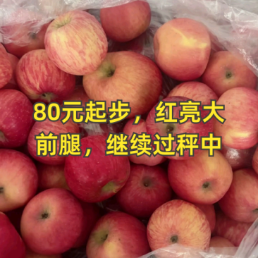 山西省临汾市吉县红富士苹果价格不高，货源充足需要的客商联