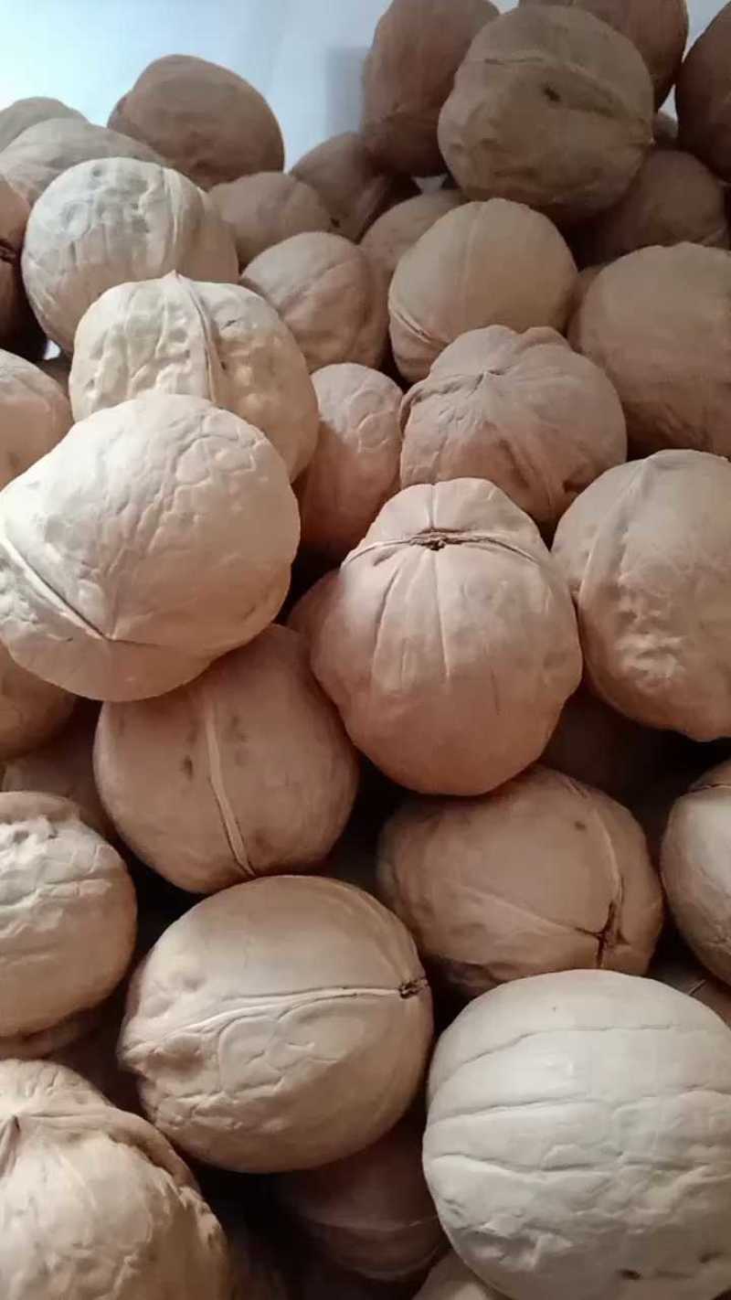 新疆薄皮核桃185纸皮核桃对接电商批发零售一手货源可代发