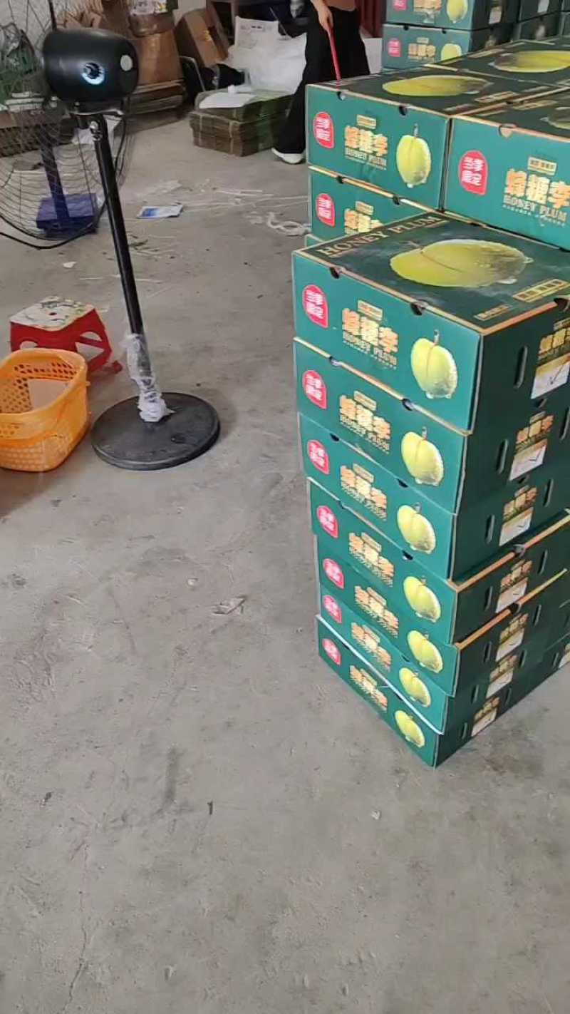 蜂糖李大量有货价格美丽一手货源新鲜采摘
