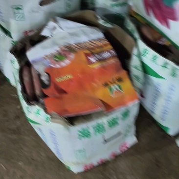 西瓜红红薯地瓜基地大量供应地窖储存红薯，品种多