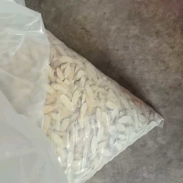 黄芪片甘肃岷县黄芪中药材当季加工黄芪片