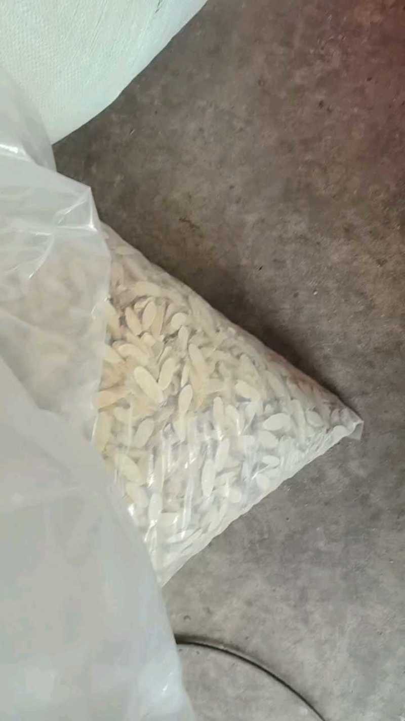 黄芪片甘肃岷县黄芪中药材当季加工黄芪片
