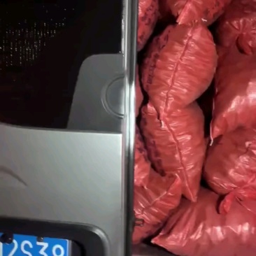 广西荔浦优质化渣脆甜马蹄(荸荠)果大肉白，全国马蹄之乡