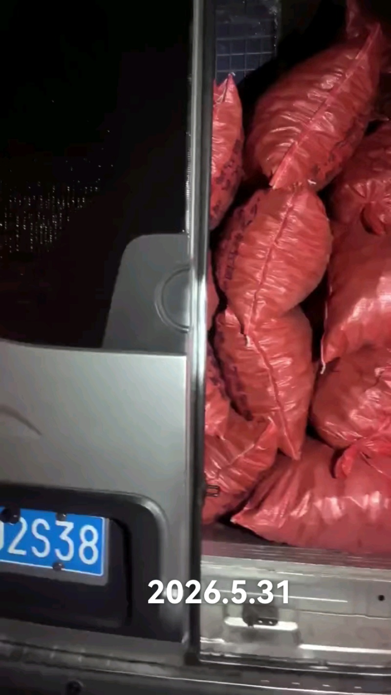 广西荔浦优质化渣脆甜马蹄(荸荠)果大肉白，全国马蹄之乡
