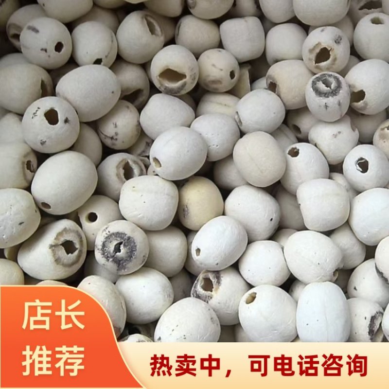 广东广州荔湾区直供湘莲新莲子去芯大量现货磨白莲批发零售